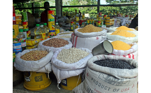 Pandémie et insécurité alimentaire : où sommes-nous en Haïti ?